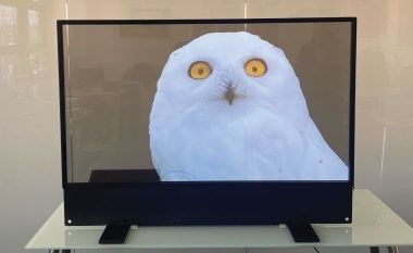 niestandardowy Ultra Thin OLED Transparent Display Do reklamy w pomieszczeniach